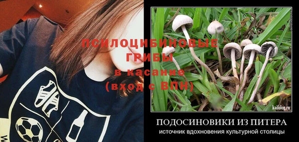 а пвп мука Ладушкин