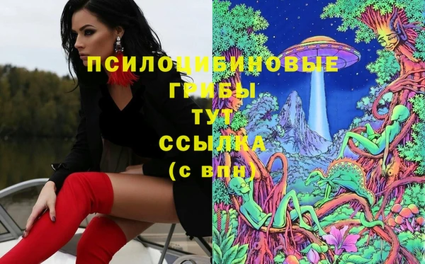 а пвп мука Ладушкин