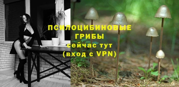 а пвп мука Ладушкин