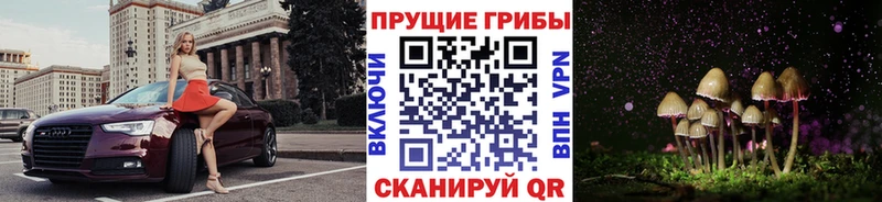 ОМГ ОМГ ссылка Рудня Галлюциногенные грибы GOLDEN TEACHER цены